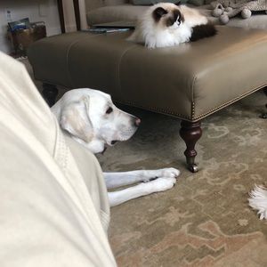 Meet your Posher, Edgar